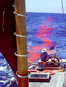 Illustration for article titled Canada's government knew about the geohacking project off its Pacific coast